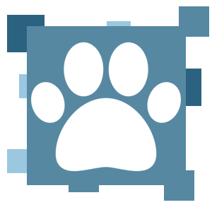 formation graphisme pao identité visuelle